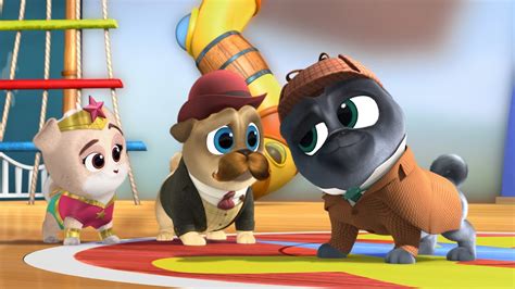 Watch Puppy Dog Pals online .